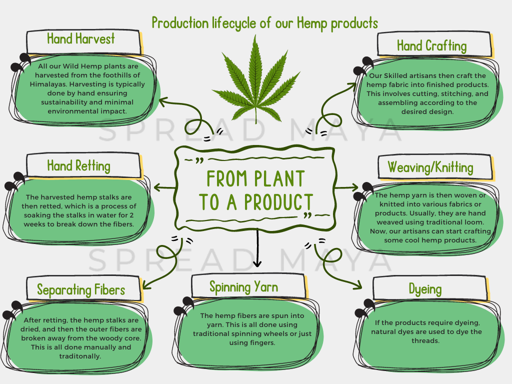 Hemp Production lifecycle