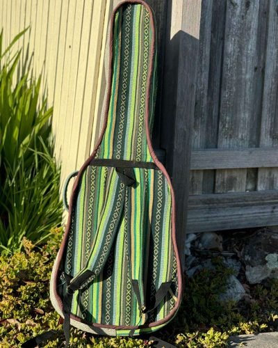 guitar cover back side