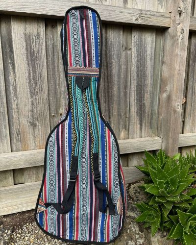 backside view of guitar bag
