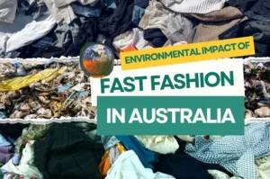 environmental impact of fast fashion in australia and how to avoid it