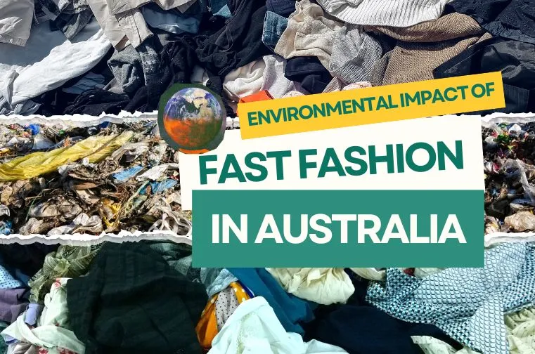 environmental impact of fast fashion in australia and how to avoid it