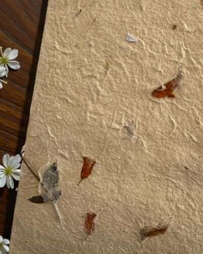 Handmade Lokta Paper Wine Bag - Image 6
